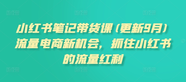 小红书笔记带货课(更新25年1月)流量电商新机会，抓住小红书的流量红利-悟空云赚AI