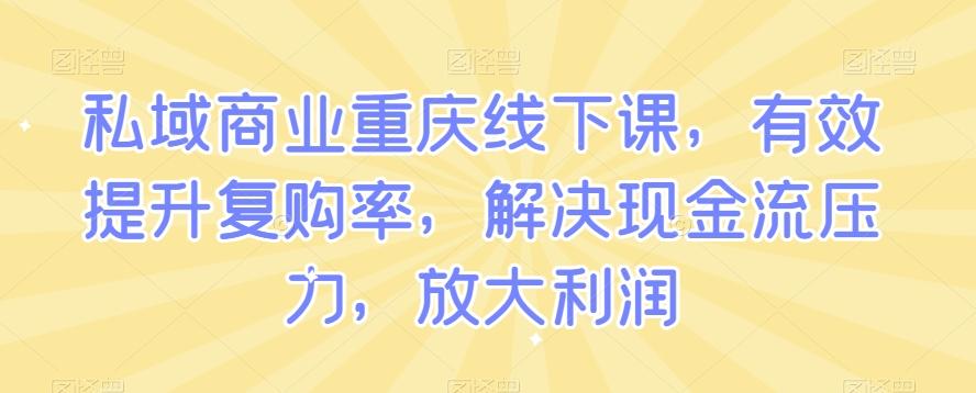 私域商业重庆线下课，有效提升复购率，解决现金流压力，放大利润-悟空云赚AI