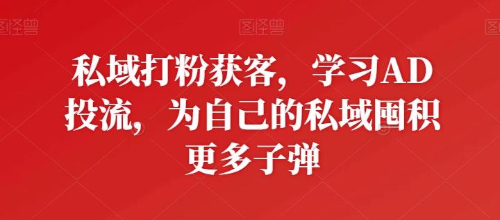 私域打粉获客，学习AD投流，为自己的私域囤积更多子弹-悟空云赚AI