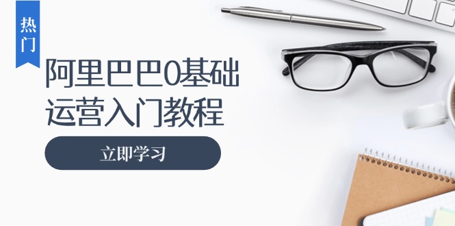 阿里巴巴运营零基础入门教程：涵盖开店、运营、推广，快速成为电商高手-悟空云赚AI