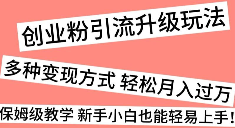 创业粉引流升级玩法，多种变现方式轻松月入过万，保姆级教学新手小白也能轻易上手！-悟空云赚AI