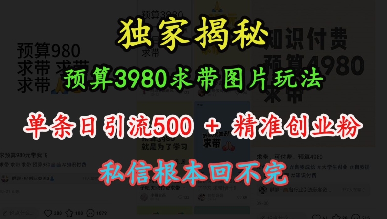 预算3980求带 图片玩法，单条日引流500+精准创业粉，私信根本回不完-悟空云赚AI