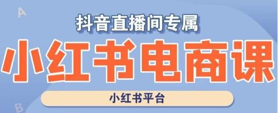 小红书电商高级运营课程，实操教学+案例分析-悟空云赚AI