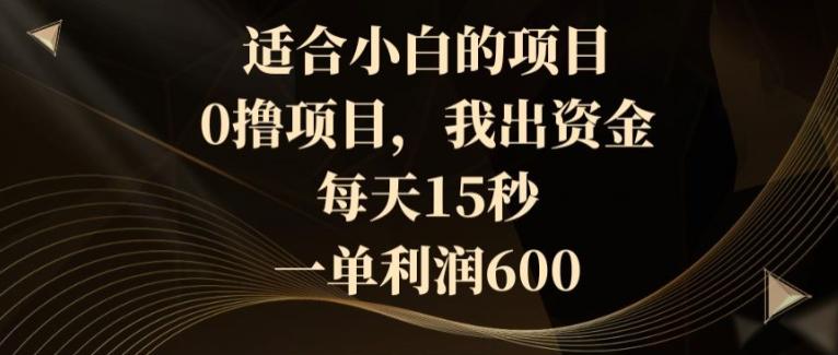 适合小白的项目，0撸项目，我出资金，每天15秒，一单利润600-悟空云赚AI