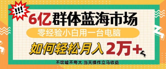 6亿群体蓝海市场，零经验小白用一台电脑，如何轻松月入过w【揭秘】-口袋创业家