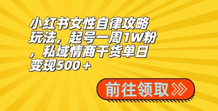 小红书女性自律攻略玩法，起号一周1W粉，私域情商干货单日变现500＋-悟空云赚AI