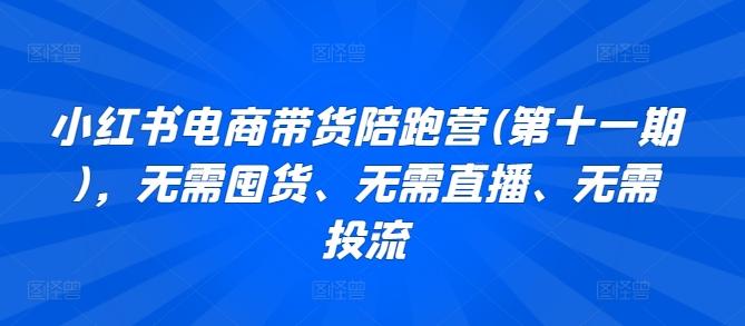 小红书电商带货陪跑营(第十一期)，无需囤货、无需直播、无需投流-悟空云赚AI