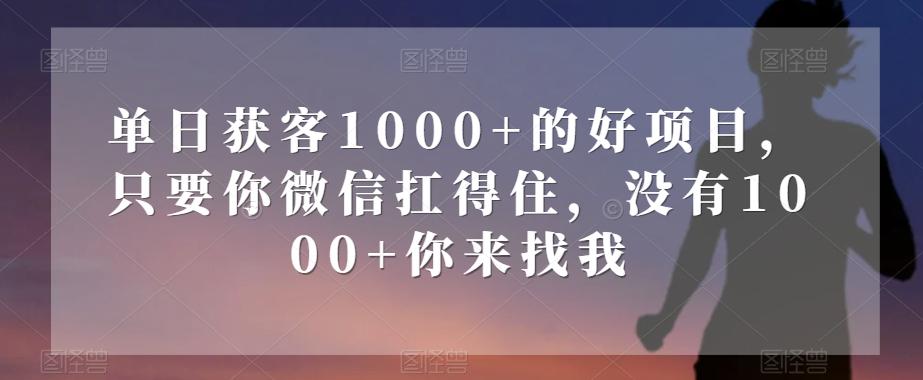 单日获客1000+的好项目，只要你微信扛得住，没有1000+你来找我【揭秘】-悟空云赚AI