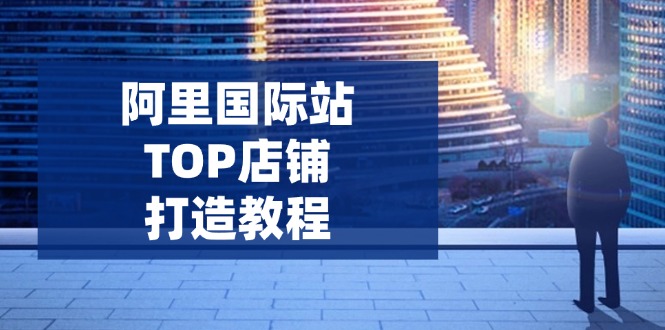 阿里国际站TOP店铺打造教程：涵盖平台到高阶，解决运营难题，提升询盘-悟空云赚AI