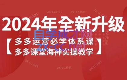海神老师·拼多多运营必学体系课-悟空云赚AI