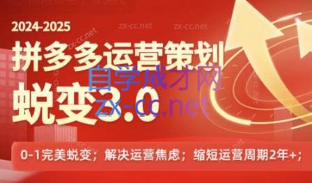 大力老师·2024拼多多运营策略蜕变3.0-悟空云赚AI