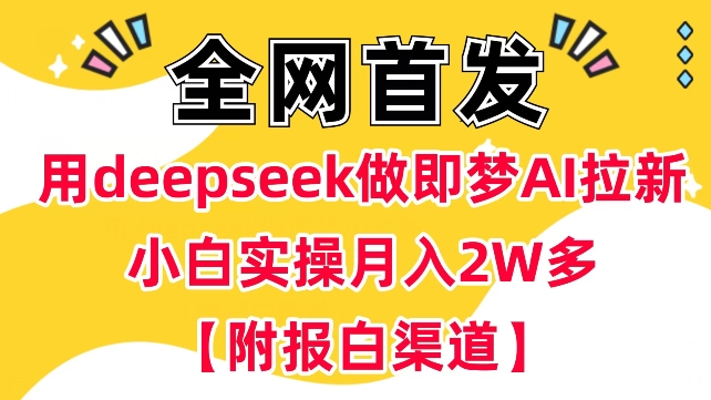 用deepseek做即梦Ai拉新 小白实操月入过W+【附报白渠道】-口袋创业家