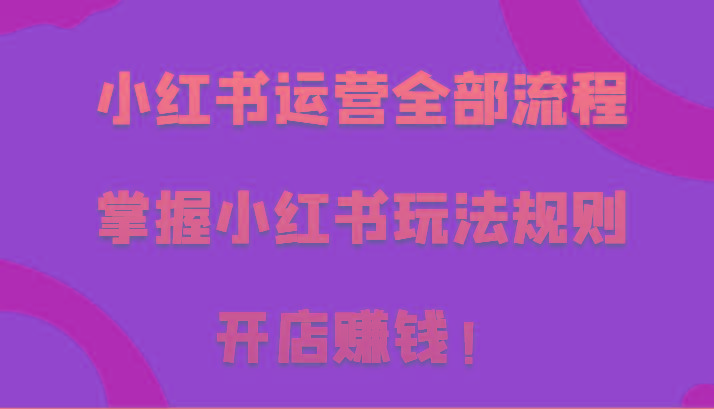 小红书运营全部流程，掌握小红书玩法规则，开店赚钱！-悟空云赚AI