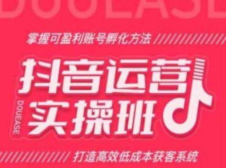 抖音运营实操班，掌握可盈利账号孵化方法，打造高效低成本获客系统-悟空云赚AI