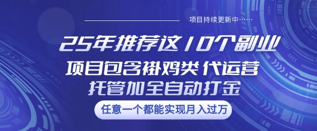 25年推荐这10个副业项目包含褂鸡类、代运营托管类、全自动打金类【揭秘】-悟空云赚AI