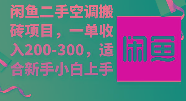 (9539期)闲鱼二手空调搬砖项目，一单收入200-300，适合新手小白上手-悟空云赚AI