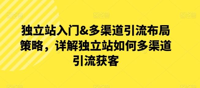 独立站入门&多渠道引流布局策略，详解独立站如何多渠道引流获客-悟空云赚AI