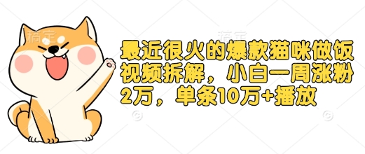 最近很火的爆款猫咪做饭视频拆解，小白一周涨粉2万，单条10万+播放(附保姆级教程)-悟空云赚AI