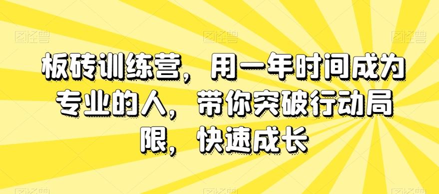 板砖训练营，用一年时间成为专业的人，带你突破行动局限，快速成长-悟空云赚AI