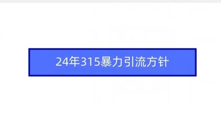 24年315暴力引流方针-悟空云赚AI