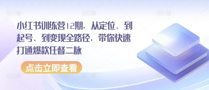 小红书训练营12期，从定位、到起号、到变现全路径，带你快速打通爆款任督二脉-悟空云赚AI