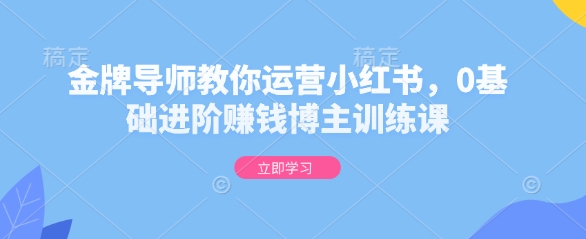 金牌导师教你运营小红书，0基础进阶赚钱博主训练课-悟空云赚AI