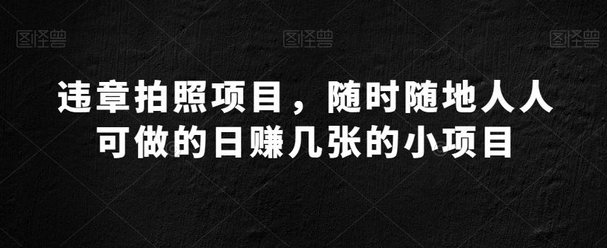 违章拍照项目，随时随地人人可做的日赚几张的小项目-悟空云赚AI