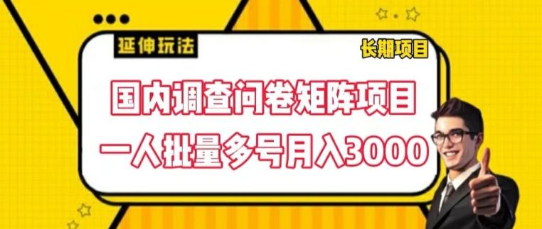 国内调查问卷矩阵项目，一人批量多号月入3000【揭秘】-悟空云赚AI