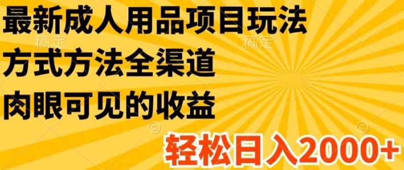 最新成人用品项目玩法，方式方法全渠道，轻松日入2K+【揭秘】-悟空云赚AI