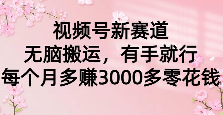 (9278期)视频号新赛道，无脑搬运，有手就行，每个月多赚3000多零花钱-悟空云赚AI