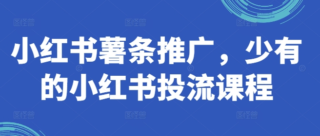 小红书薯条推广，少有的小红书投流课程-悟空云赚AI