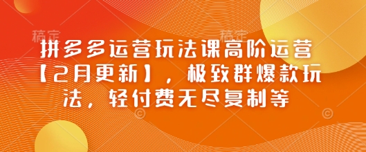 拼多多运营玩法课高阶运营【2月更新】，极致群爆款玩法，轻付费无尽复制等-悟空云赚AI