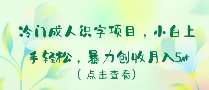 冷门成人识字项目，小白上手轻松，暴力创收月入5w+【揭秘】-悟空云赚AI