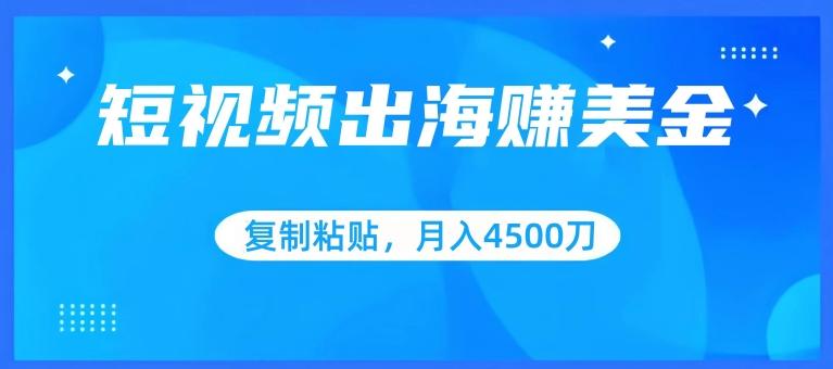 短视频出海赚美金，复制粘贴批量操作，小白轻松掌握，月入4500美刀【揭秘】-悟空云赚AI