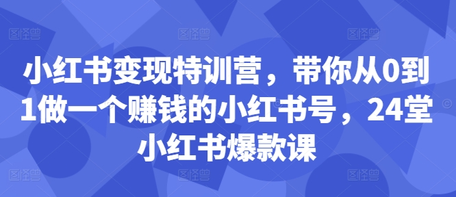 小红书变现特训营，带你从0到1做一个赚钱的小红书号，24堂小红书爆款课-悟空云赚AI