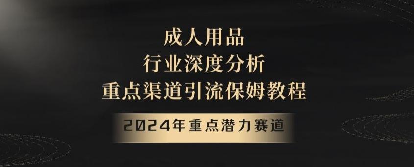 2024年重点潜力赛道，成人用品行业深度分析，重点渠道引流保姆教程【揭秘】-悟空云赚AI