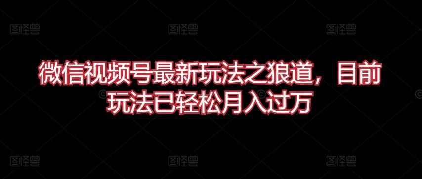 微信视频号最新玩法之狼道，目前玩法已轻松月入过万【揭秘】-悟空云赚AI