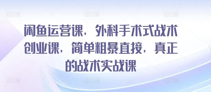 闲鱼运营课，外科手术式战术创业课，简单粗暴直接，真正的战术实战课-悟空云赚AI