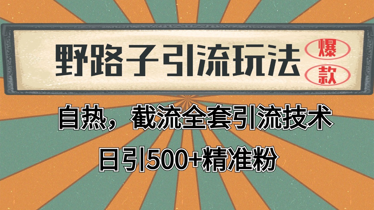 抖音小红书视频号全平台引流打法，全自动引流日引2000+精准客户-悟空云赚AI