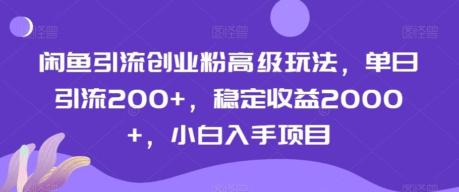 闲鱼引流创业粉高级玩法，单日引流200+，稳定收益2000+，小白入手项目-悟空云赚AI