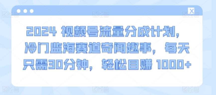 2024视频号流量分成计划，冷门监海赛道奇闻趣事，每天只需30分钟，轻松目赚 1000+【揭秘】-悟空云赚AI