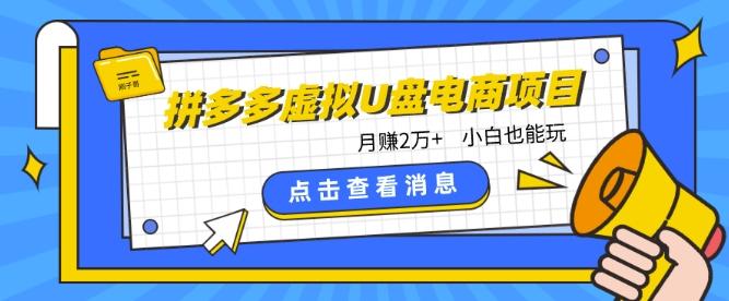 拼多多虚拟U盘电商红利项目：月赚2万+，新手小白也能玩-悟空云赚AI