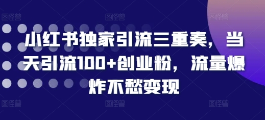 小红书独家引流三重奏，当天引流100+创业粉，流量爆炸不愁变现【揭秘】-悟空云赚AI