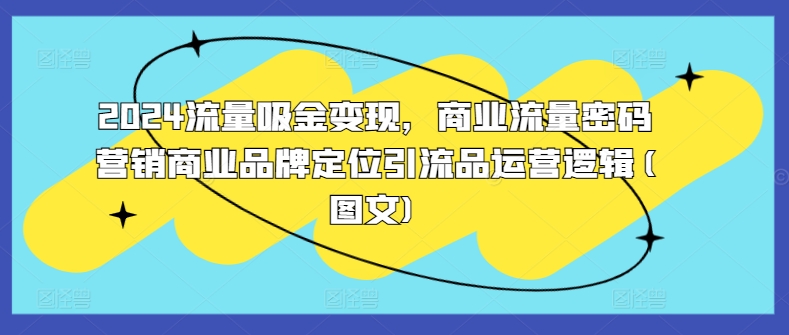 2024流量吸金变现，商业流量密码营销商业品牌定位引流品运营逻辑(图文)-悟空云赚AI