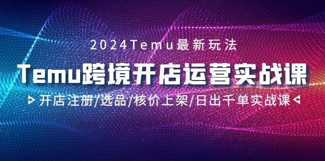 2024Temu跨境开店运营实战课，开店注册/选品/核价上架/日出千单实战课-悟空云赚AI