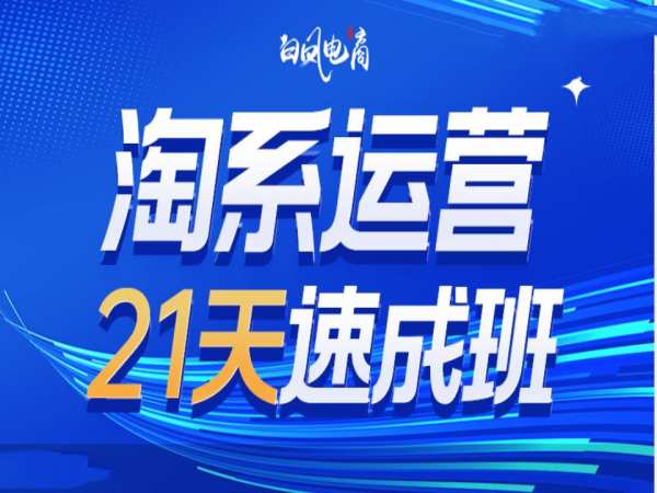 淘系运营21天速成班35期，年前最后一波和2025方向-口袋创业家