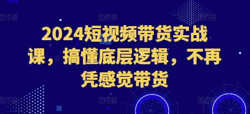 2024短视频带货实战课，搞懂底层逻辑，不再凭感觉带货-悟空云赚AI