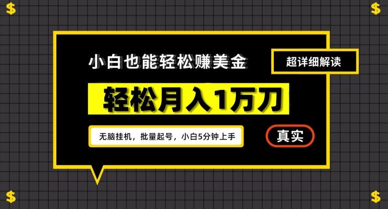 谷歌看广告撸美金2.0，无脑挂机，多号操作，月入1万刀【揭秘】-悟空云赚AI