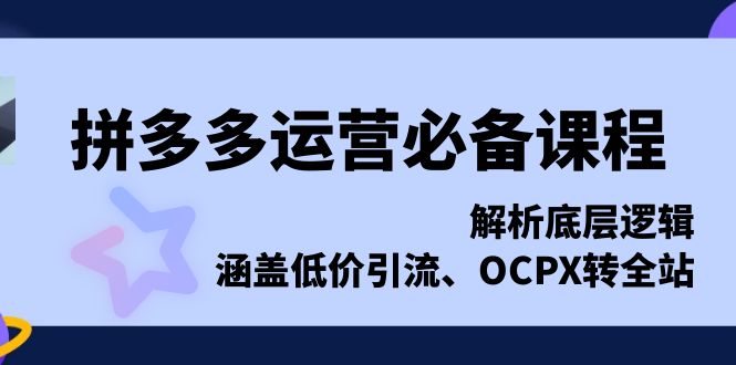 拼多多运营必备课程，解析底层逻辑，涵盖低价引流、OCPX转全站-悟空云赚AI