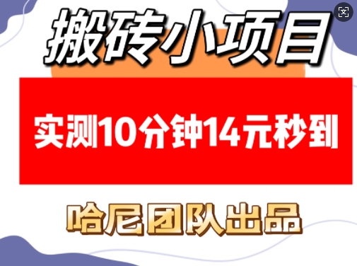 搬砖小项目，实测10分钟14元秒到，每天稳定几张(赠送必看稳定)-悟空云赚AI